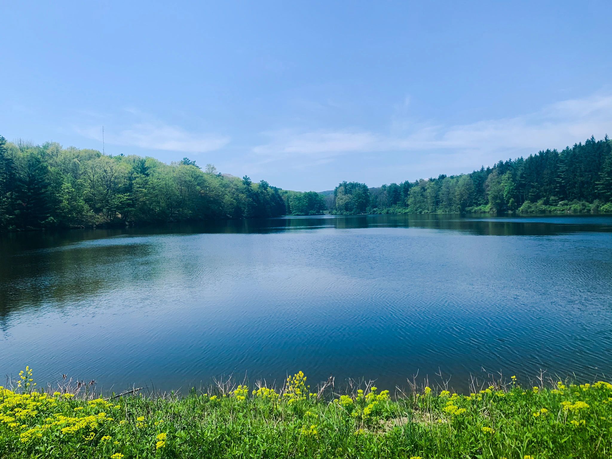Billing & Collection FAQs | Elmira Water Board