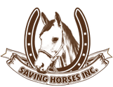 Saving Horses, Inc.