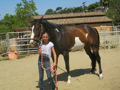 Saving Horses, Inc.