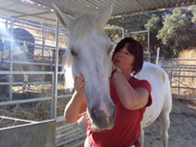 Saving Horses, Inc.