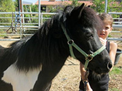 Saving Horses, Inc.