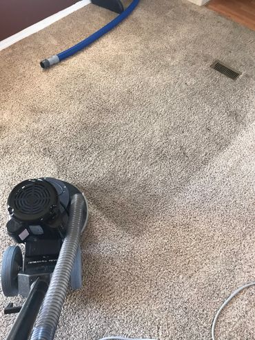 Cleaning of a residential carpet