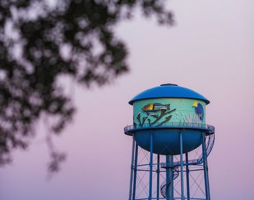Crescent Lake Neighborhood