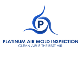 Platinum Air Mold Inspection