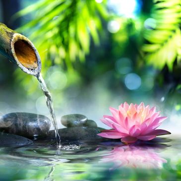 Bamboo water spout flowing into pond with pink lotus and stones.