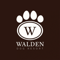 Walden Dog