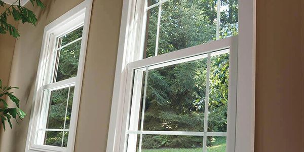 Two white-framed windows open to a green outdoor view with trees.