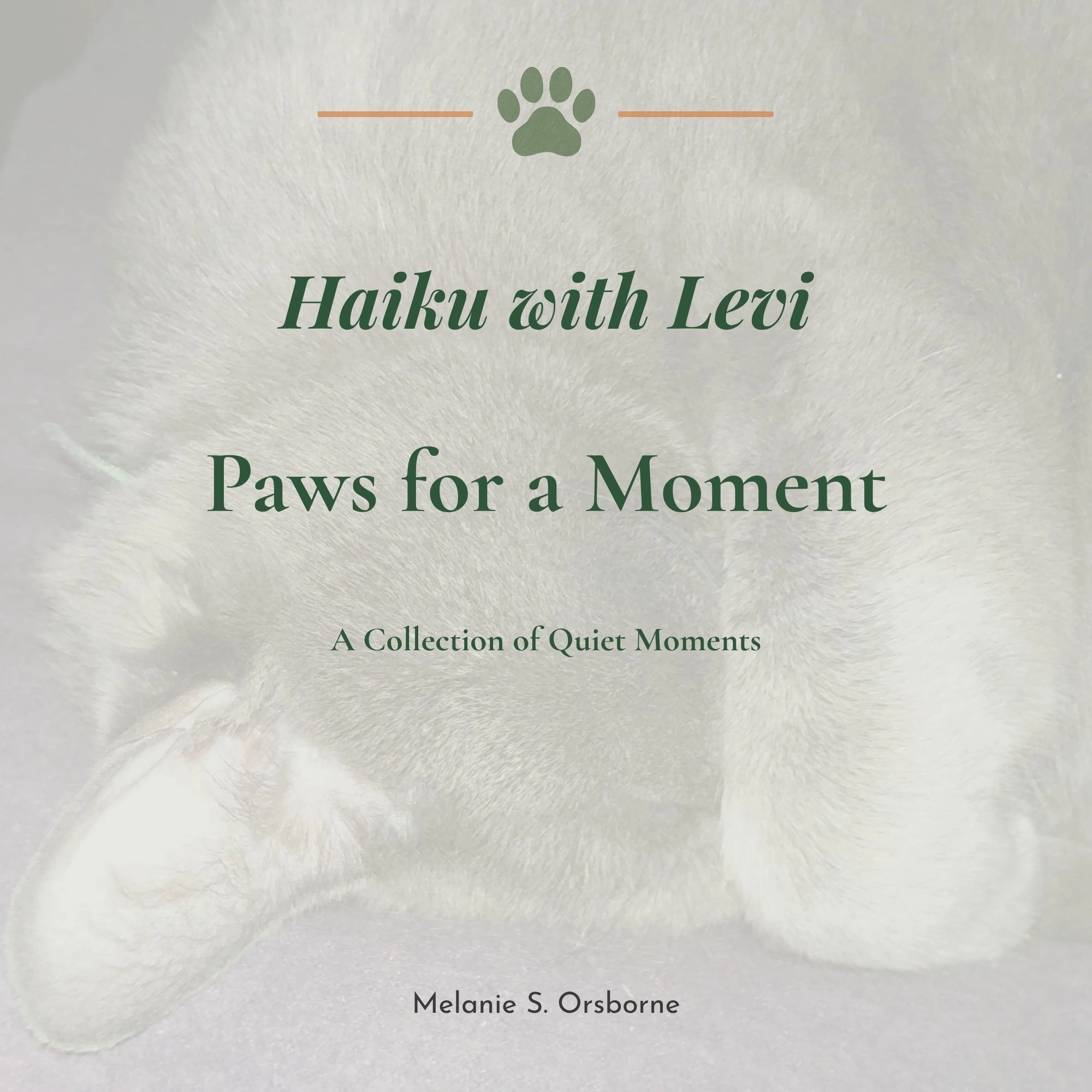 Book cover titled 'Haiku with Levi: Paws for a Moment'.