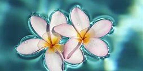 Healing mind body soul, freedom, anxiety, healing trauma, medical trauma