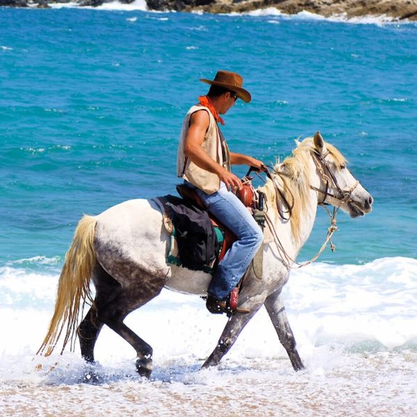 A man rides a white horse along the ocean shore wearing a cowboy hat.