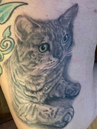 Healed cat portrait tattoo