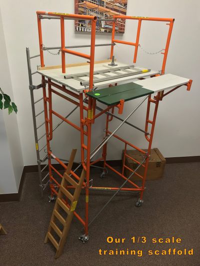 1/3 scale training scaffold