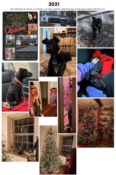 2021 ... Our Christmas Joy ... Our first "Noel" ... Noel came into our home