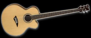 Le Sheppard's GUITAR Dean Acoustic Bass