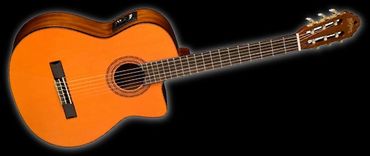 Le Sheppard's 2015 Nylon Washburn