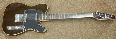 Le Sheppard's Jay Turser Rosewood Guitar