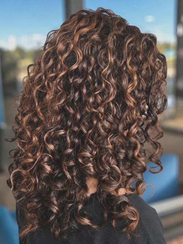 Tightly coiled brown curly hair with highlights.