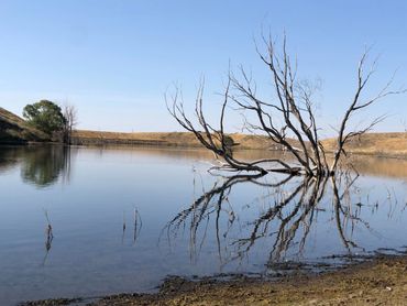 View of Lake Shel-Oole from Road Runner Trail