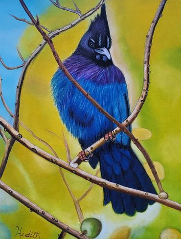 blue and black bird blue jay Alaska wildlife oil painting