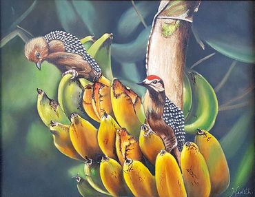 Woodpecker birds banana tree south america wildlife oil painting
