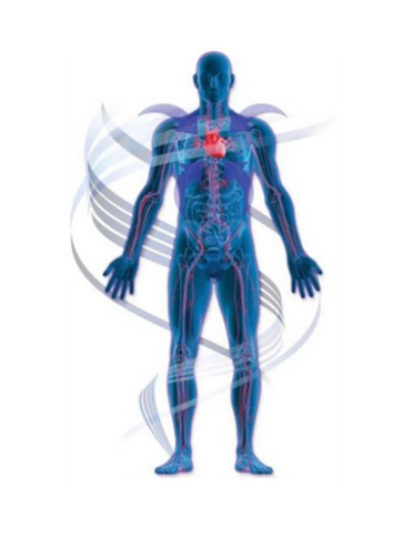 The science behind whole body cryotherapy