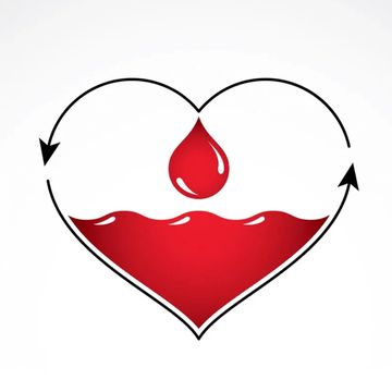 Red and Infrared Light Therapy dilates blood vessels to boost blood flow at cryostrong