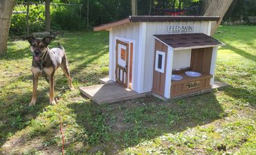 custom built doghouse