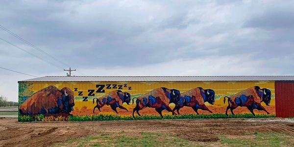 mural painted on The Lazy Buffalo by the talented Shaw Brothers of Lawton, Oklahoma