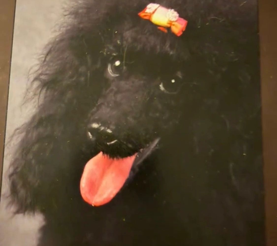 Roxy at the Ritz Valentine