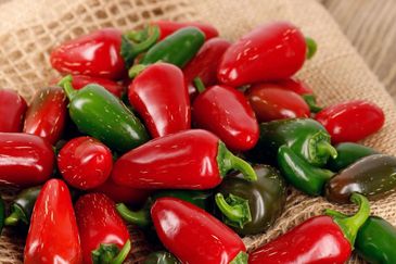 Roasted peppers, pepper strips, jalapeños, pepperoncini, banana peppers and Lombardi peppers. Explor