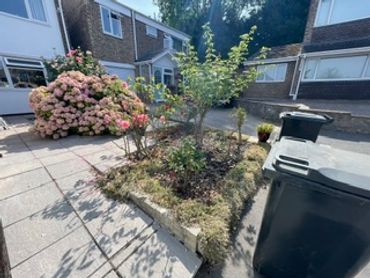 Pruning & weeding