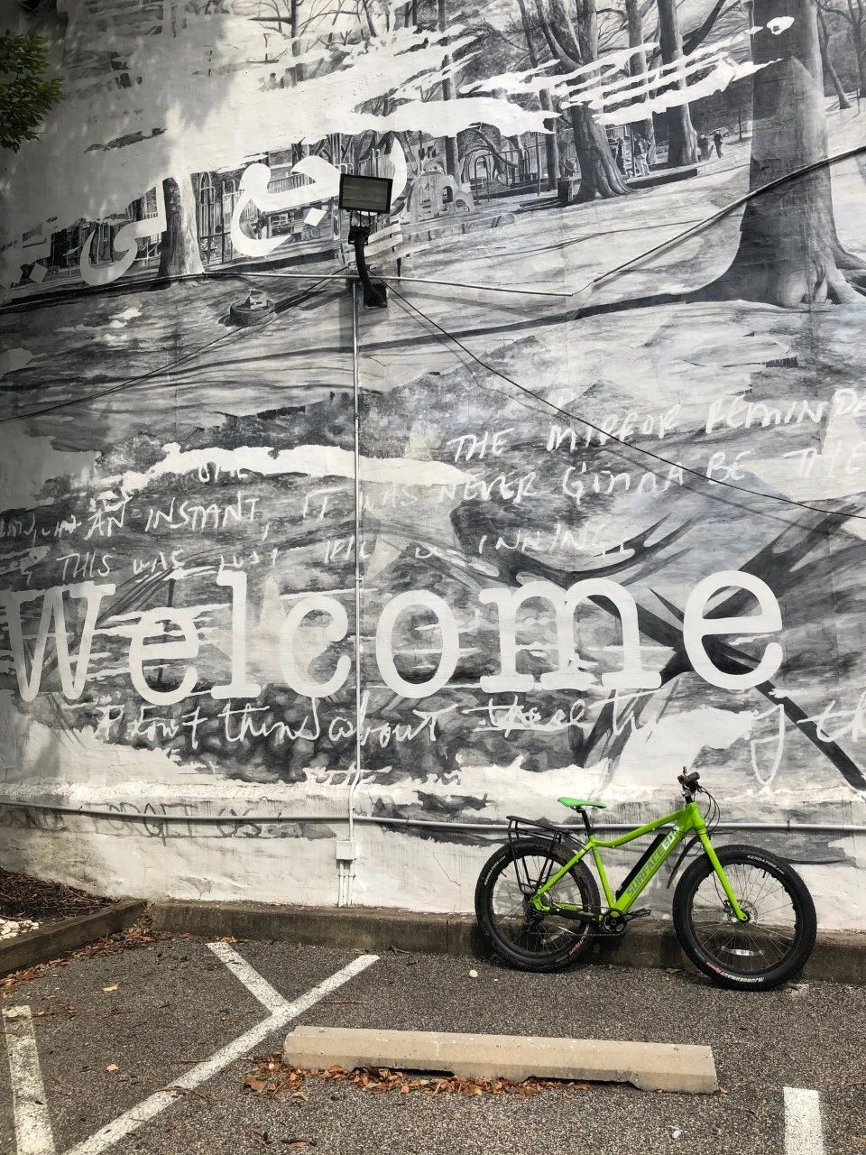 revolution bicycles