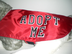 ADOPT ME Dog Vest