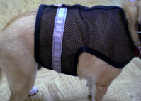 Reflective Dog Harness Vest