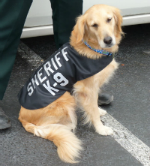 Reflective SHERIFF K-9 ID Dog Vest