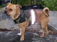 Reflective Dog Harness Vest