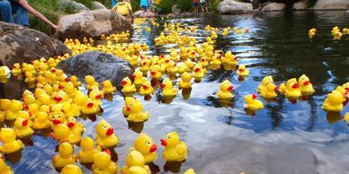 Rubber duckie race