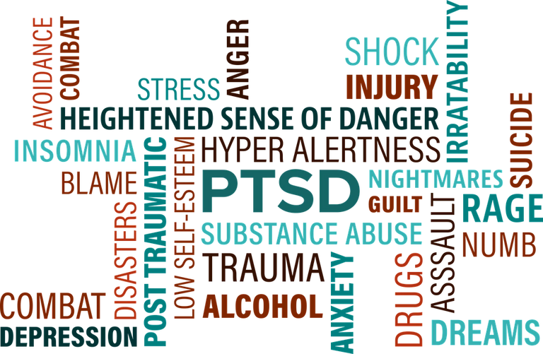 Law Enforcement PTSD Support
