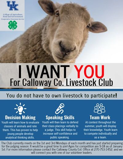 Program Promotional Package National Finalist, Matt Chadwick, Calloway County ANR.
