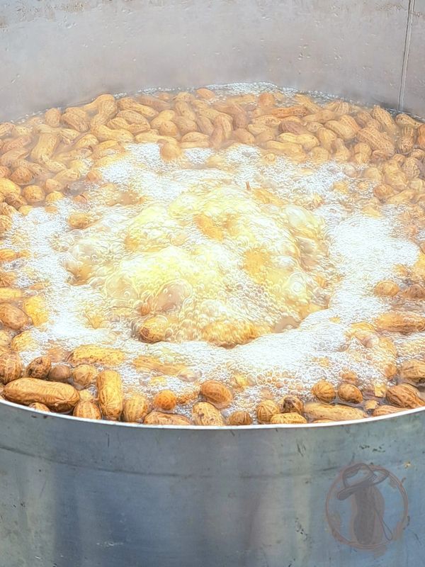 Steel drum filled with boiling p-nuts and salt. Brimming with bubbles & steam. Doug's Boiled Peanuts