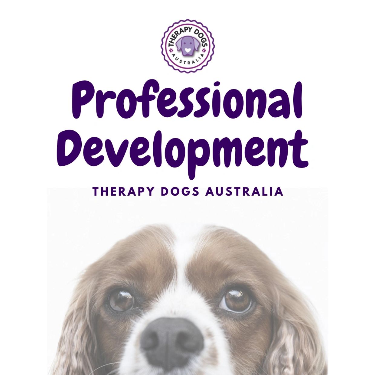 animal assisted therapy professional development 