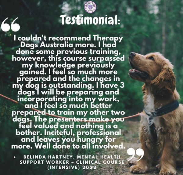therapy dog training course review