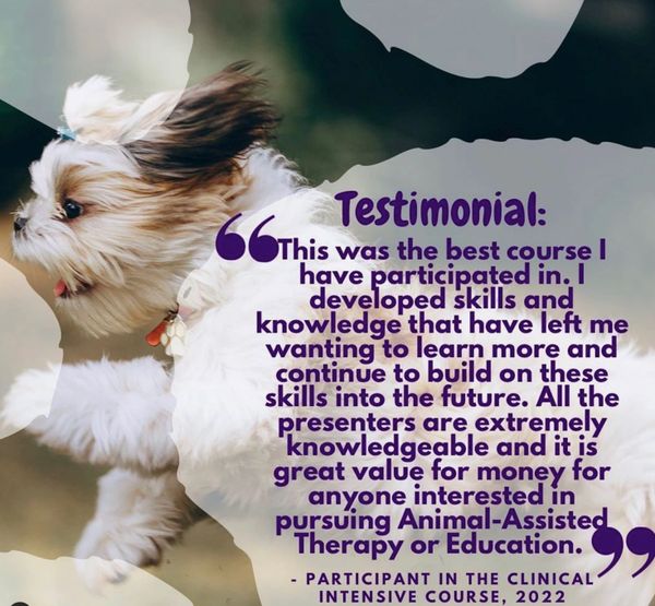 therapy dog training course review