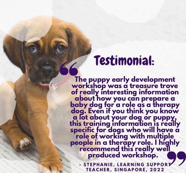 therapy dog puppy training review