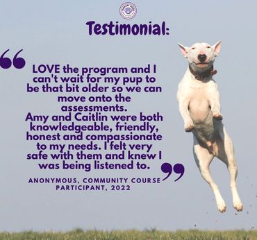 therapy dog course review