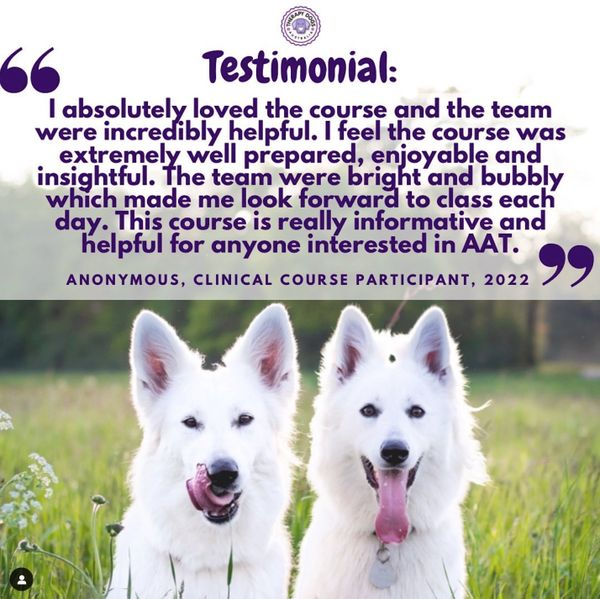 therapy dog training course review
