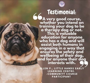 therapy dog course review