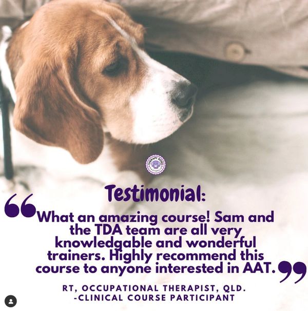 therapy dog training course review