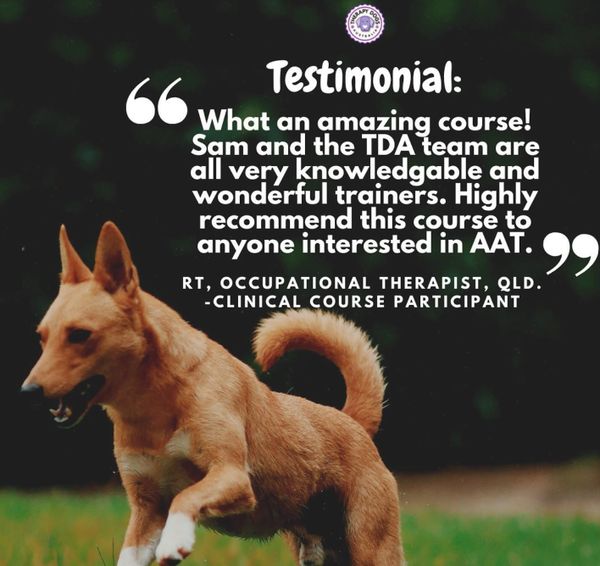 therapy dog training course review