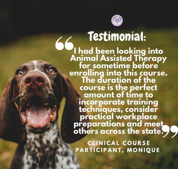 therapy dog training course review